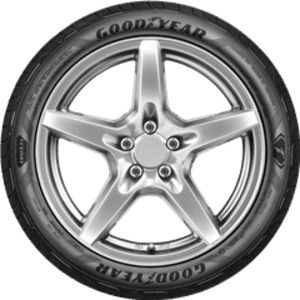 F1 ASYMM5